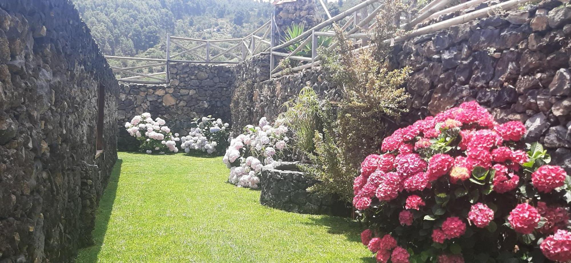 Casas Rurales Los Guinderos Icod De Los Vinos Exterior foto